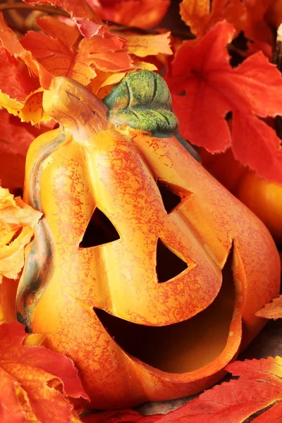 Cabeza de calabaza sonriente en hojas coloridas . —  Fotos de Stock