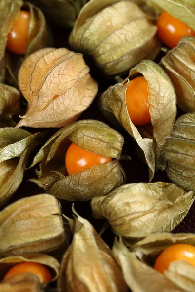 Close-up of physalis fruit — Stock Photo, Image