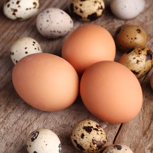 Codornizes e ovos de galinha — Fotografia de Stock