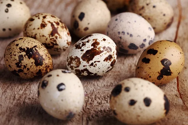 Close-up de ovos de codorna em fundo de madeira . — Fotografia de Stock