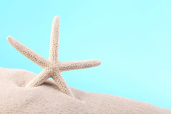 Estrella de mar sobre arena — Foto de Stock