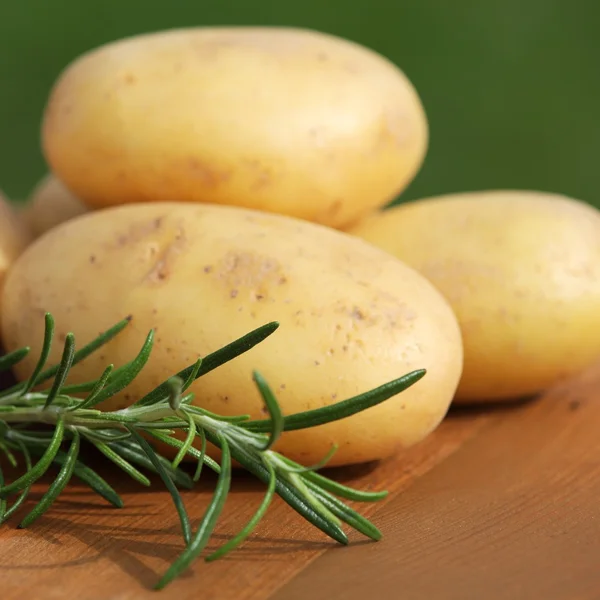 Fresh rosemary and raw potatoes — Stock Photo, Image