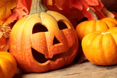 ahşap zemin üzerinde kabak decortions.