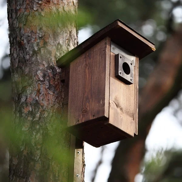 木の鳥のための新しい木造住宅. — ストック写真