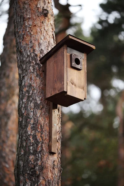 Drzewo z nowy drewniany dom dla ptaków. — Zdjęcie stockowe