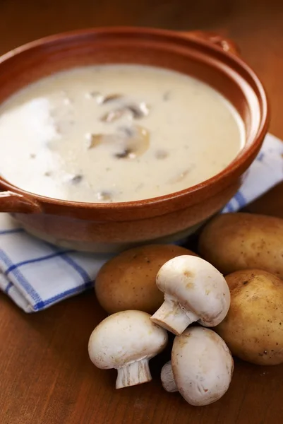 Ciotola con zuppa di funghi cremosa — Foto Stock