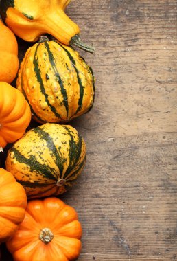 kabaklar çerçeve ahşap tablo.