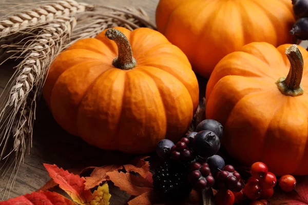 Petites citrouilles, céréales et décorations d'automne . — Photo