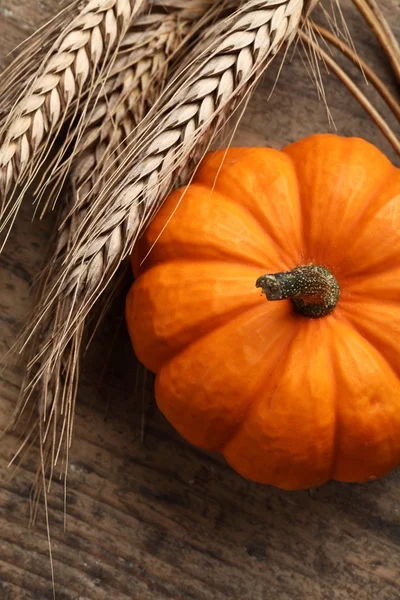 Pequeña calabaza y grano — Foto de Stock