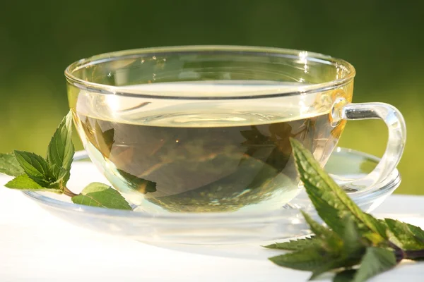 Mint tea and fresh mint leaves — Stock Photo, Image