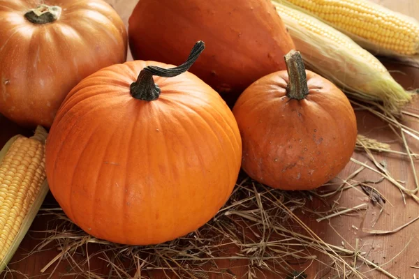 Pumpkins and corn on wooden background with straw. — Stock Photo, Image