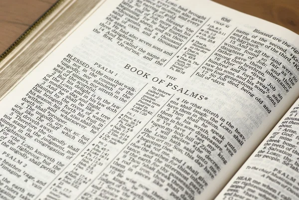 Holy Bible opened on the Book of Psalms — Stock Photo, Image