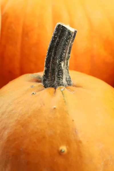 Close-up of pumpkin. — Stock Photo, Image