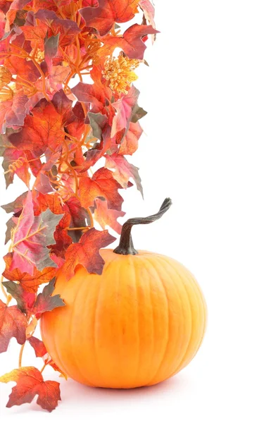 Pumpkins and autumn decorations — Stock Photo, Image