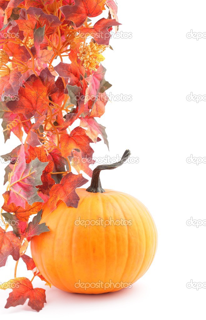 Pumpkins and autumn decorations