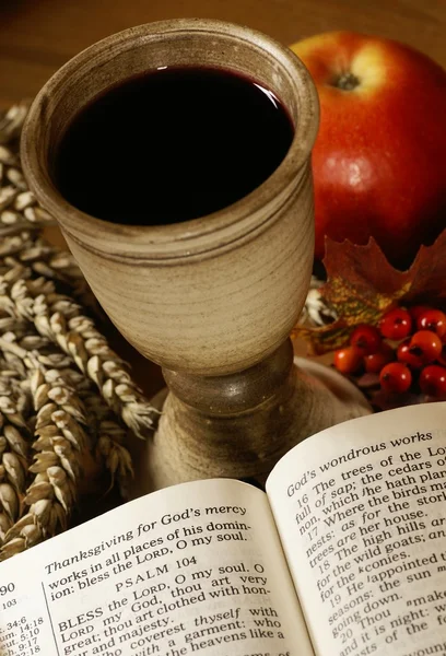 Öppna Bibeln och bägare med vin, — Stockfoto