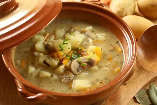 Soup and ingredients — Stock Image Soup and ingredients Stock Image