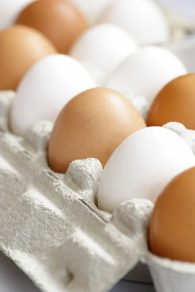 Beyaz ve kahverengi tavuk yumurta karton kutuda. — Stok fotoğraf