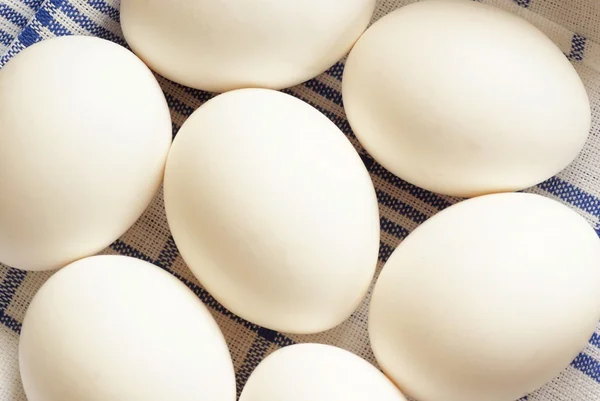 Vista superior de ovos de galinha branca na toalha de mesa . — Fotografia de Stock