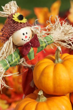 tatlı korkuluk ve kabaklar