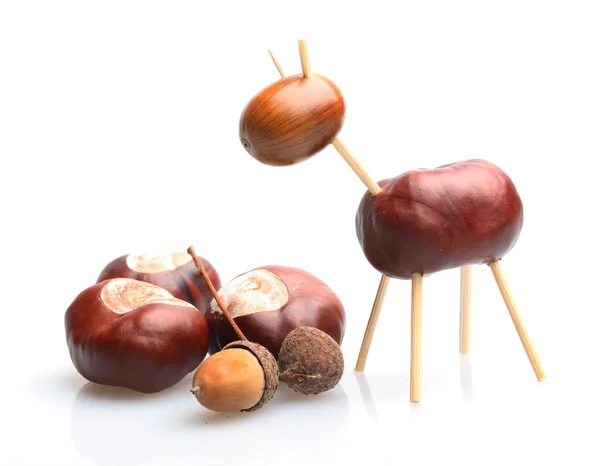 Chestnut and acorn animal on white background. — Stock Photo, Image