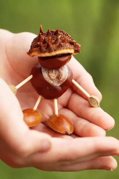 Child is holding chestnut man in hands. — Stock Photo, Image
