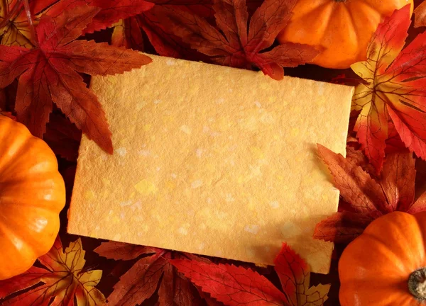 Autumn or thanksgiving greeting card — Stock Photo, Image