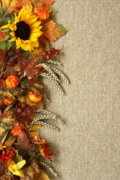 Słonecznik, jesień liście i owoce na płótnie tło — Zdjęcie stockowe