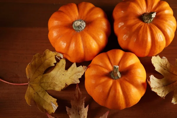 Bovenaanzicht van gekleurde herfstbladeren en weinig pompoenen — Stockfoto