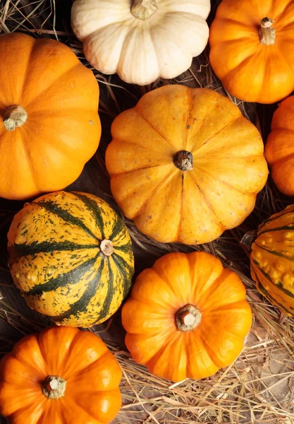 Bovenaanzicht van pumpkins op stro — Stockfoto