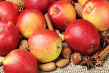 elma, tarçın, fındık ve anason.