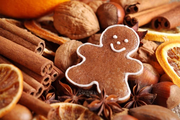 Nahaufnahme von Lebkuchen, Gewürzen und Nüssen — Stockfoto