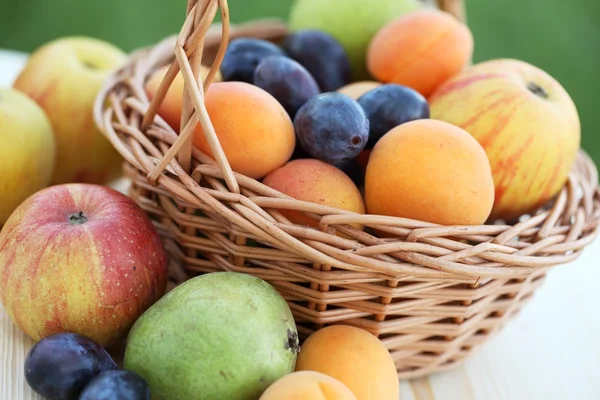 Mand gevuld met pruimen, appels, peren en abrikozen. — Stockfoto
