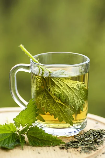 Nettle tea in glass. Fresh and dry stinging nettle — Stock Photo, Image