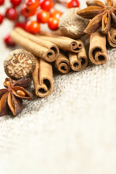 Cinnamon sticks, anise stars and nutmegs — Stock Photo, Image