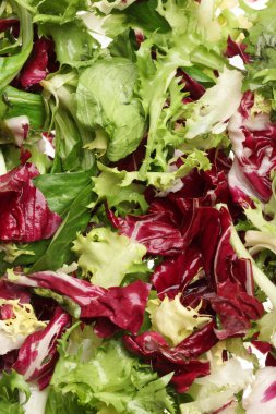 Close-Up taze karışık marul arka plan