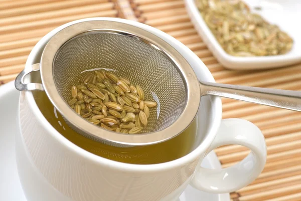 Fennel tee and seeds in a sieve — Stock Photo, Image