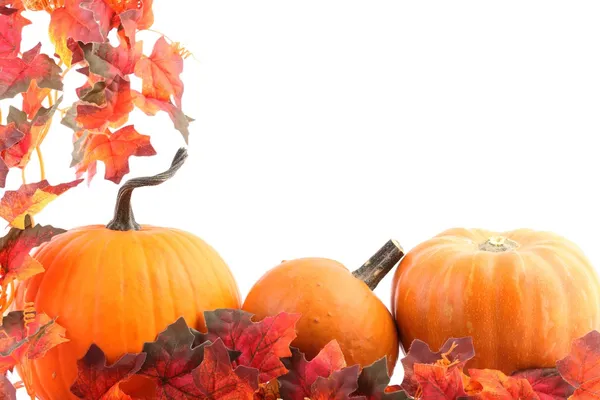 Kürbisse und Herbstdekoration — Stockfoto