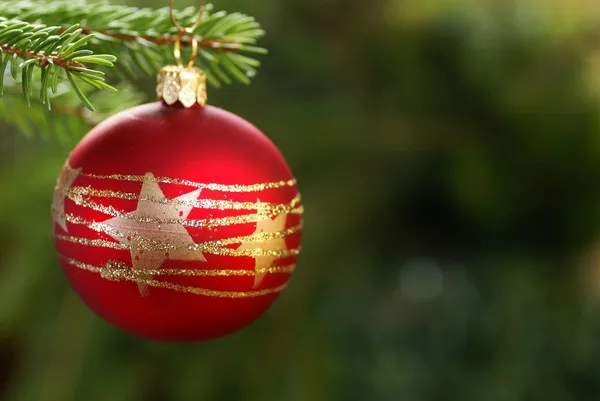 Ornamento de Natal pendurado em um ramo . — Fotografia de Stock