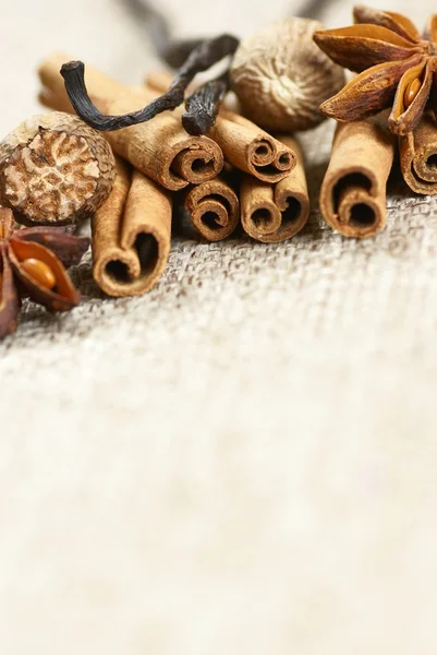 Tarçın, yıldız anason nutmegs ve vanilya fasulye — Stok fotoğraf