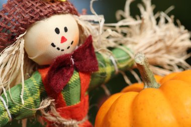 kabak ve tatlı korkuluk.