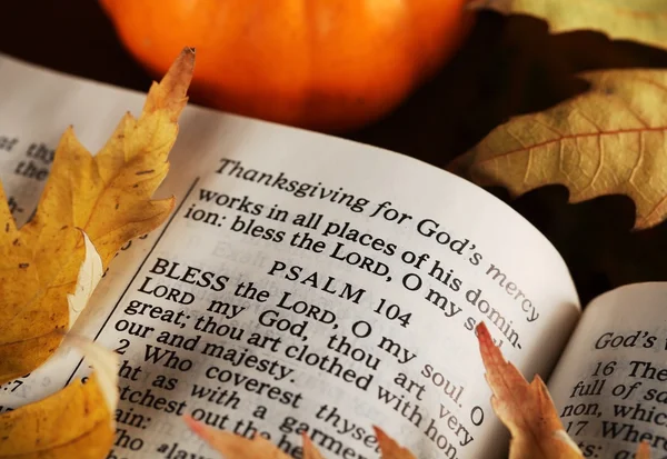 Biblia abierta y hojas de otoño . — Foto de Stock