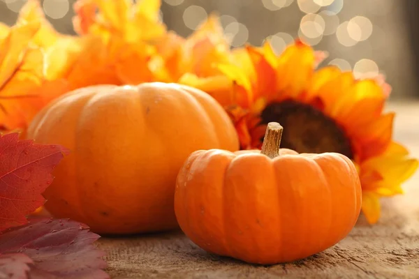 Herbstliche Anordnung — Stockfoto