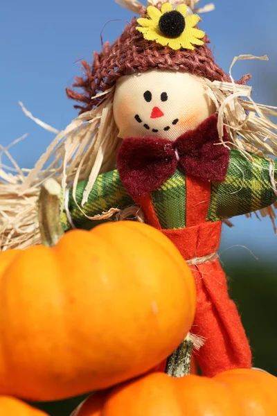 Pumpkin and cute scarecrow. — Stock Photo, Image