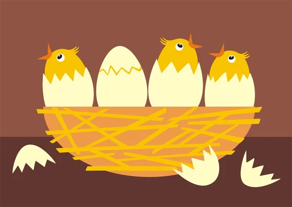 Chicks in nest — Stock Vector