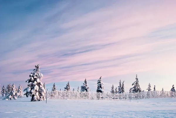 Winter Landscape Stock Image