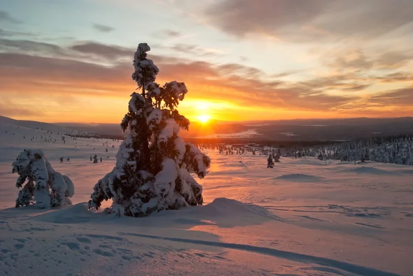 Solnedgång på vintern i finland — Stockfoto