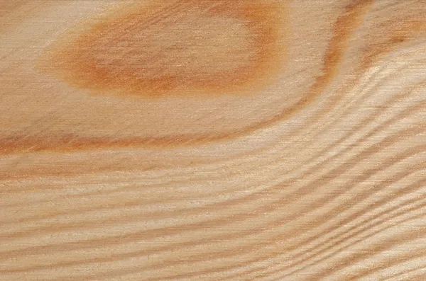 Jehličnaté dřevo — Stock fotografie