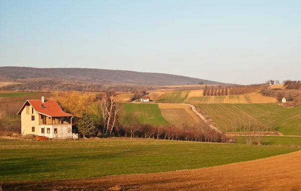 Tarladaki ev.