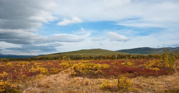 Kamtjatka tundra i höst — Stockfoto